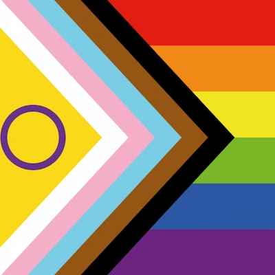 A flag combining the rainbow Pride flag with chevrons of white, pink, blue, brown, black, and a yellow triangle with a purple circle, representing LGBTQIA+ inclusion.